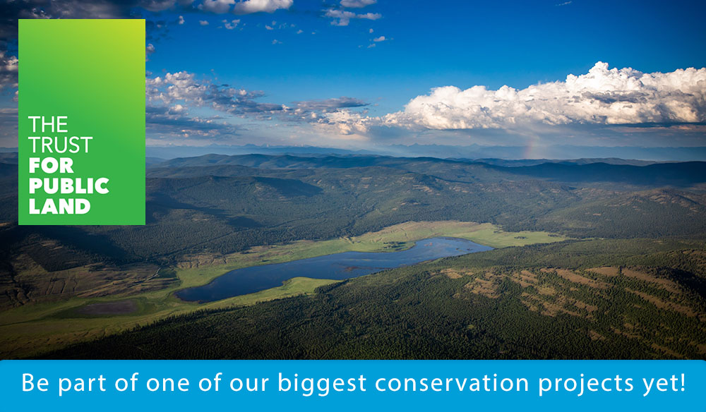 Be part of one of our biggest conservation projects yet!