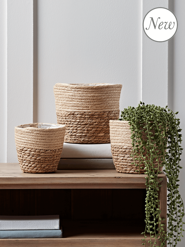 NEW Three Petite Two Tone Planters