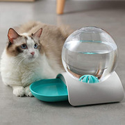Cat Bowls and Feeders!
