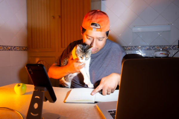 Person working from home with cat
