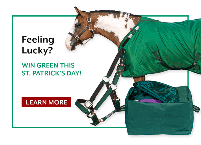 Feeling lucky this St. Patty's Day? Win big with this Stable Sheet bundle. 