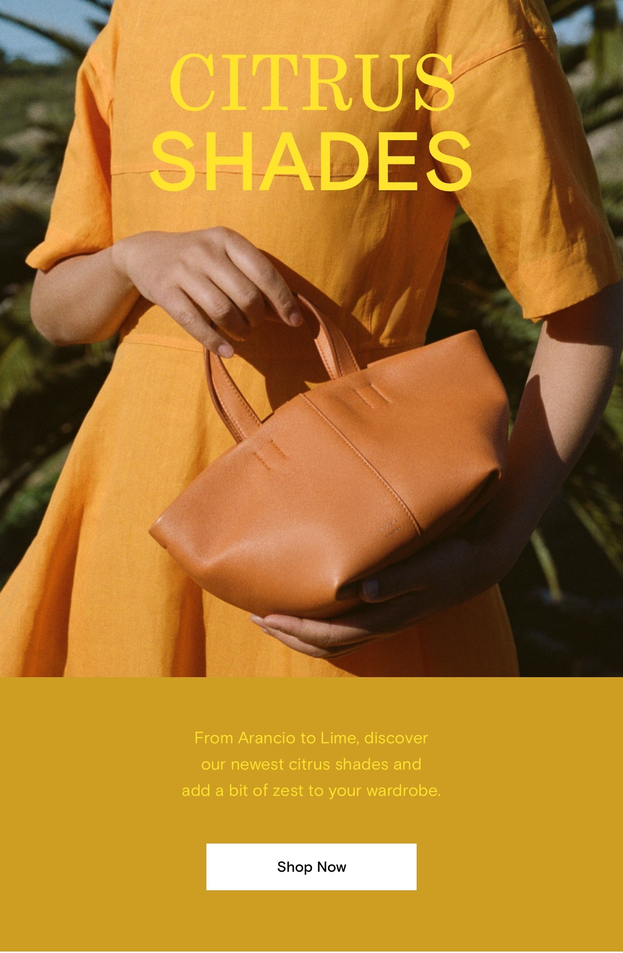 From Arancio to Lime, discover our newest citrus shades and add a bit of zest to your wardrobe.