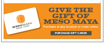Give The Gift Of Meso Maya