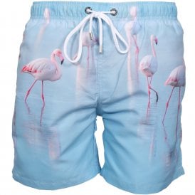 Lauderdale Flamingoes Photographic Print Swim Shorts, Blue