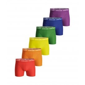 6-Pack Classic Logo Boxer Trunks, Rainbow Colours