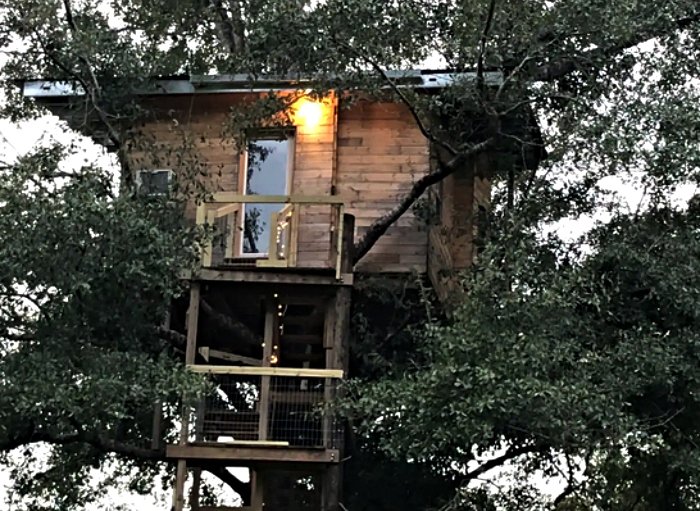 Sleep Among Alpacas When You Book An Overnight Stay At This Treehouse In Alabama