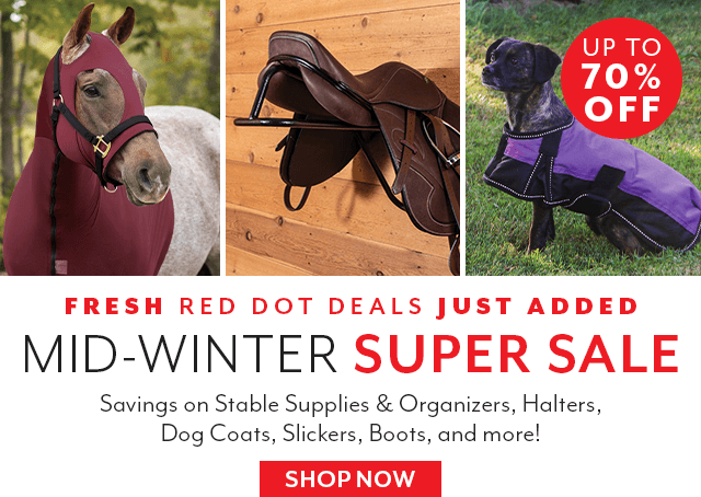 We've just added new Red Dot Deals to our mid-winter super sale! Now up to 70% off.