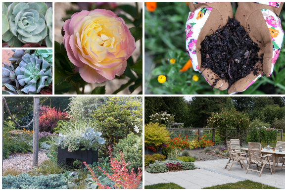 Various gardening photos