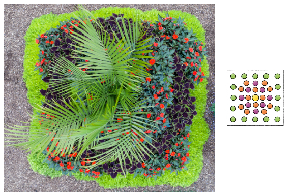 Planting diagram