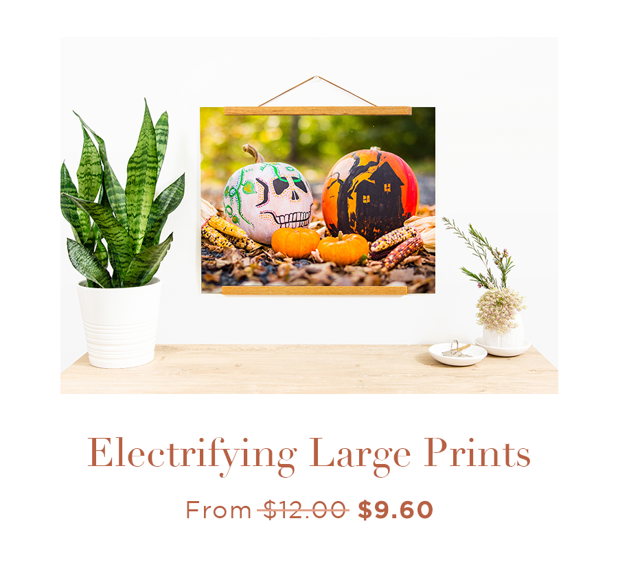 Electrifying Large Prints From $12.00 $9.60