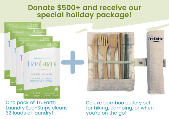 Receive Tru Earth Laundry Eco-strips