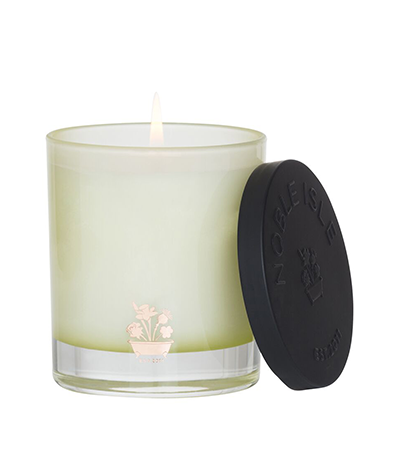 Willow Song Candle & Snuffer by Noble Isle