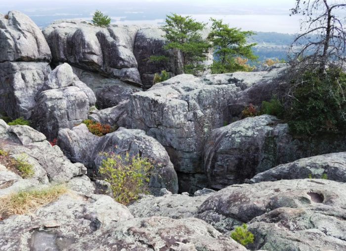 Walk Through 200 Acres Of Rock Formations At Alabama''s Cherokee Rock Village