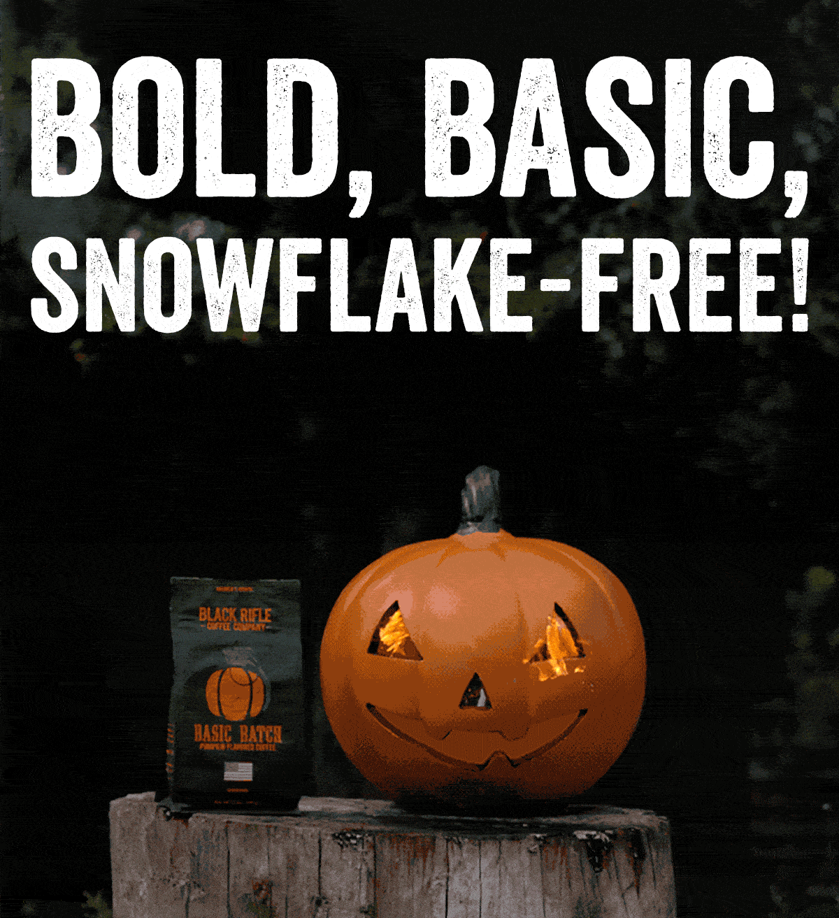 Bold, Basic, Snowflake-Free!