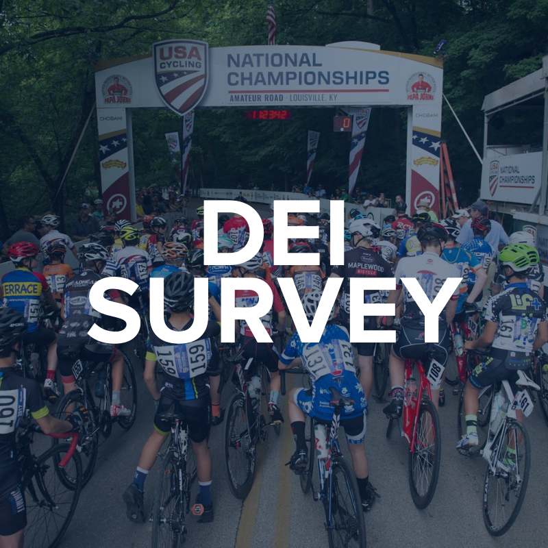 DEI Survey.png