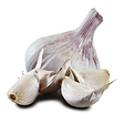 http://www.thegarlicfarm.co.uk/product/large-garlic-bulbs-for-eating?utm_source=Email_Newsletter&utm_medium=Retail&utm_campaign=CV_Jun20_2