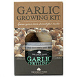 https://www.thegarlicfarm.co.uk/product/garlic-growing-kit?utm_source=Email_Newsletter&utm_medium=Retail&utm_campaign=CV_Jun20_2