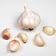 https://www.thegarlicfarm.co.uk/product/picardy-wight-seed-x-4-bulbs?utm_source=Email_Newsletter&utm_medium=Retail&utm_campaign=CV_Jun20_2