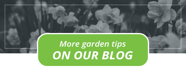 More garden tips on our blog