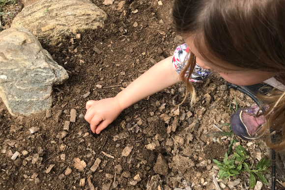Kid planting seeds in garden bed