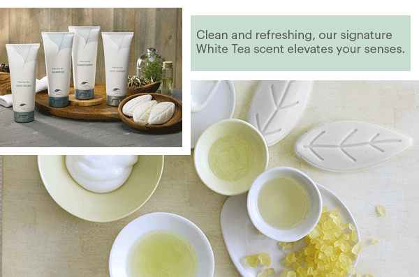 Clean and refreshing, our signature White Tea scent elevates your senses.