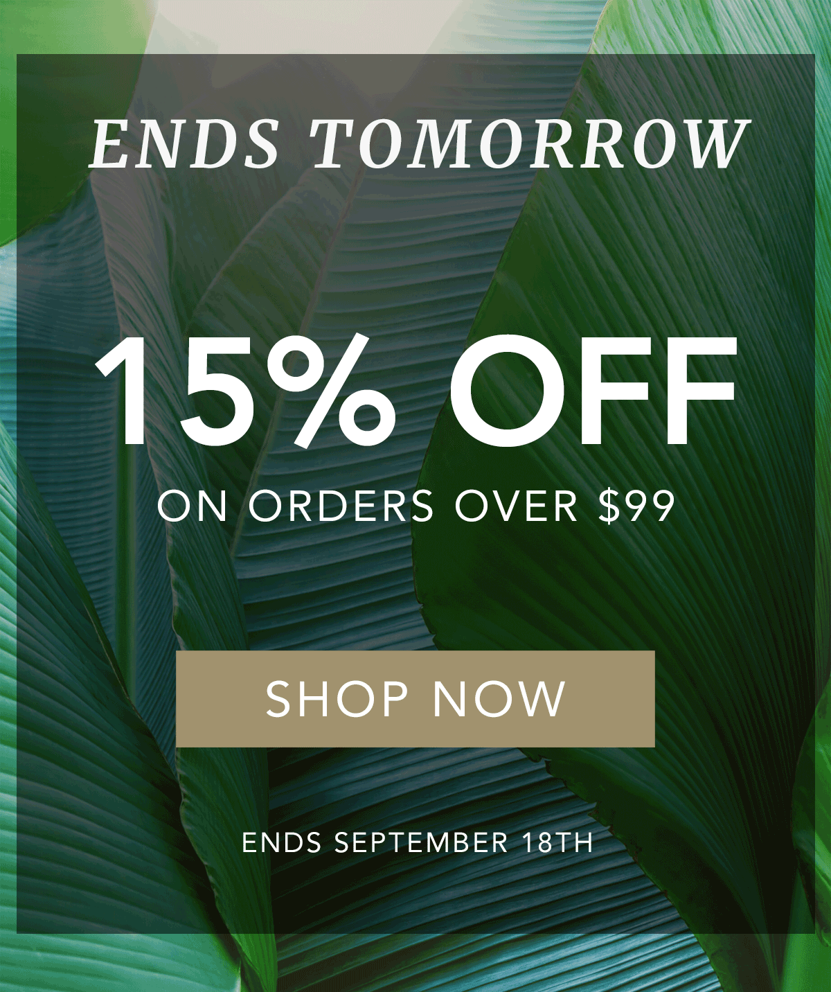 15% OFF STORE WIDE on orders over $99 Ends August 20th