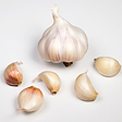 https://www.thegarlicfarm.co.uk/product/picardy-wight-seed-x-4-bulbs?utm_source=Email_Newsletter&utm_medium=Retail&utm_campaign=CV_Dec20_1