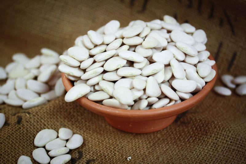 Image of Large White Lima Bean