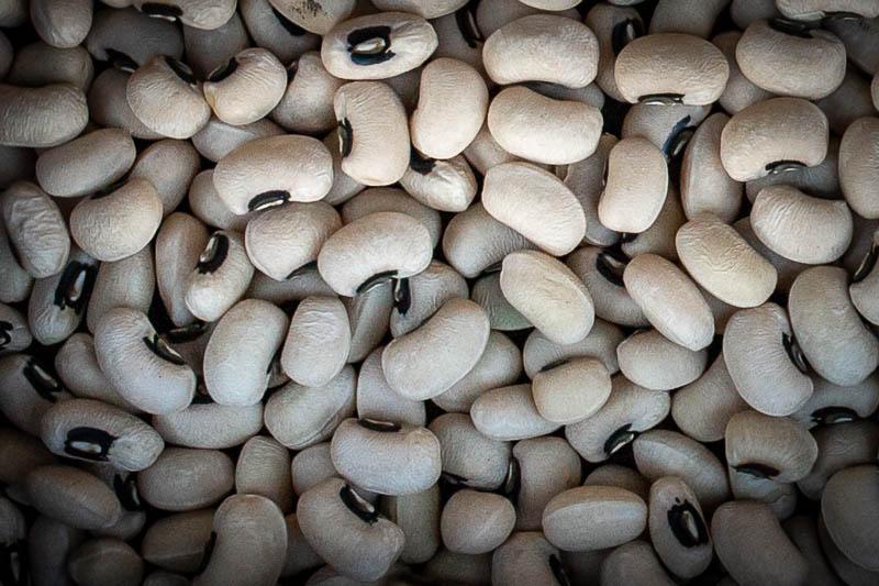 Image of Super Lucky 2021 Black Eyed Pea