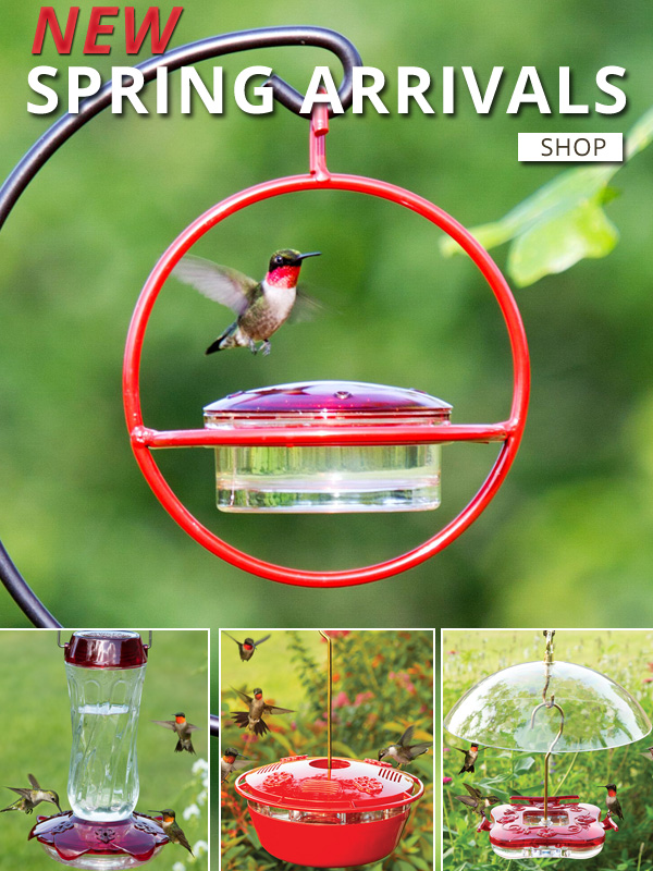 Exciting New Spring Arrivals! Attract More Hummingbirds to Your Yard!