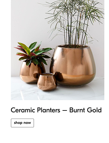 Ceramic Planters — Burnt Gold - Shop Now