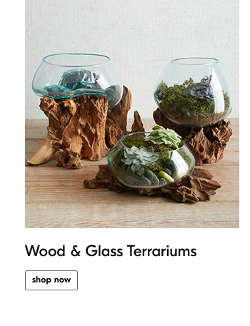 Wood & Glass Terrariums - Shop Now