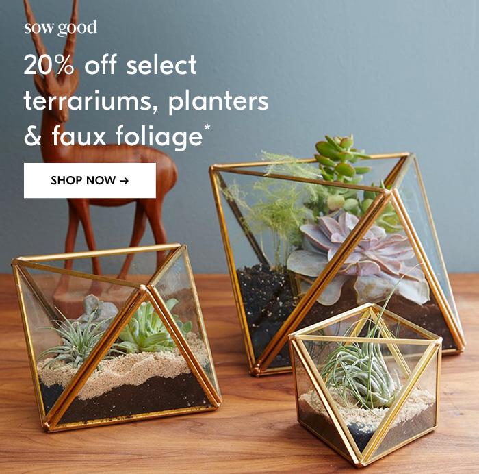 20% off select terrariums, planters & faux foliage* - Shop Now