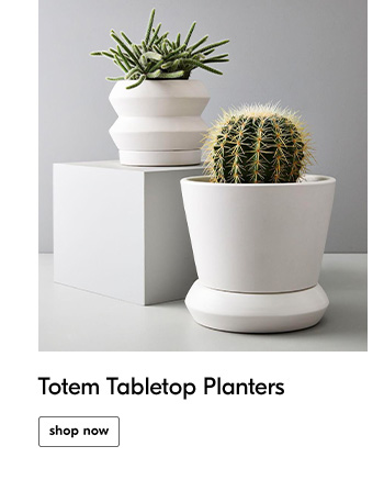 Totem Tabletop Planters - Shop Now