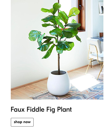 Faux Fiddle Fig Plant - Shop Now