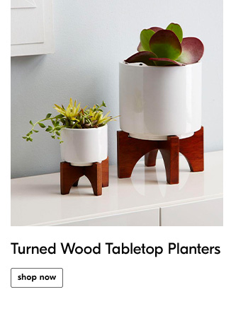 Turned Wood Tabletop Planters - Shop Now