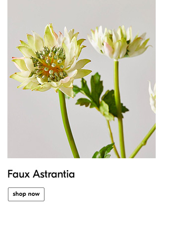 Faux Astrantia - Shop Now