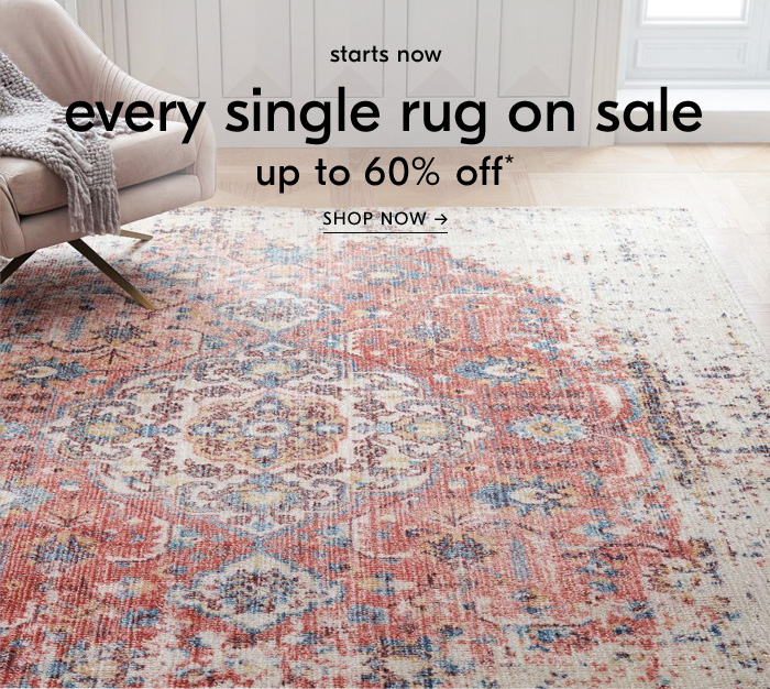 every single rug on sale