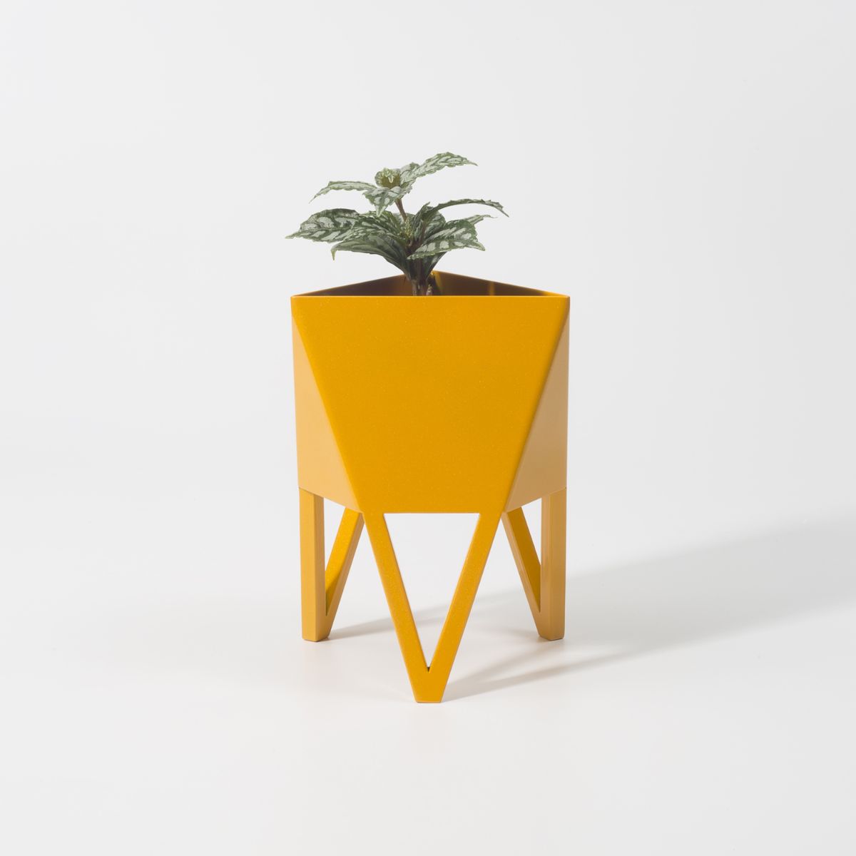 Deca Planter | Sunbeam Daffodil Yellow