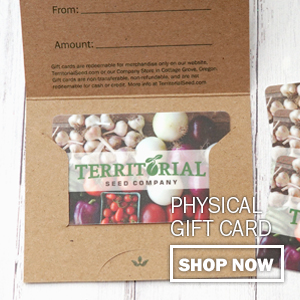 Click here to buy a Physical Gift Card
