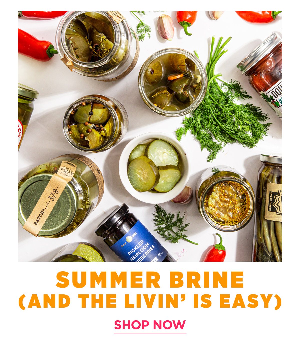 Summer Brine