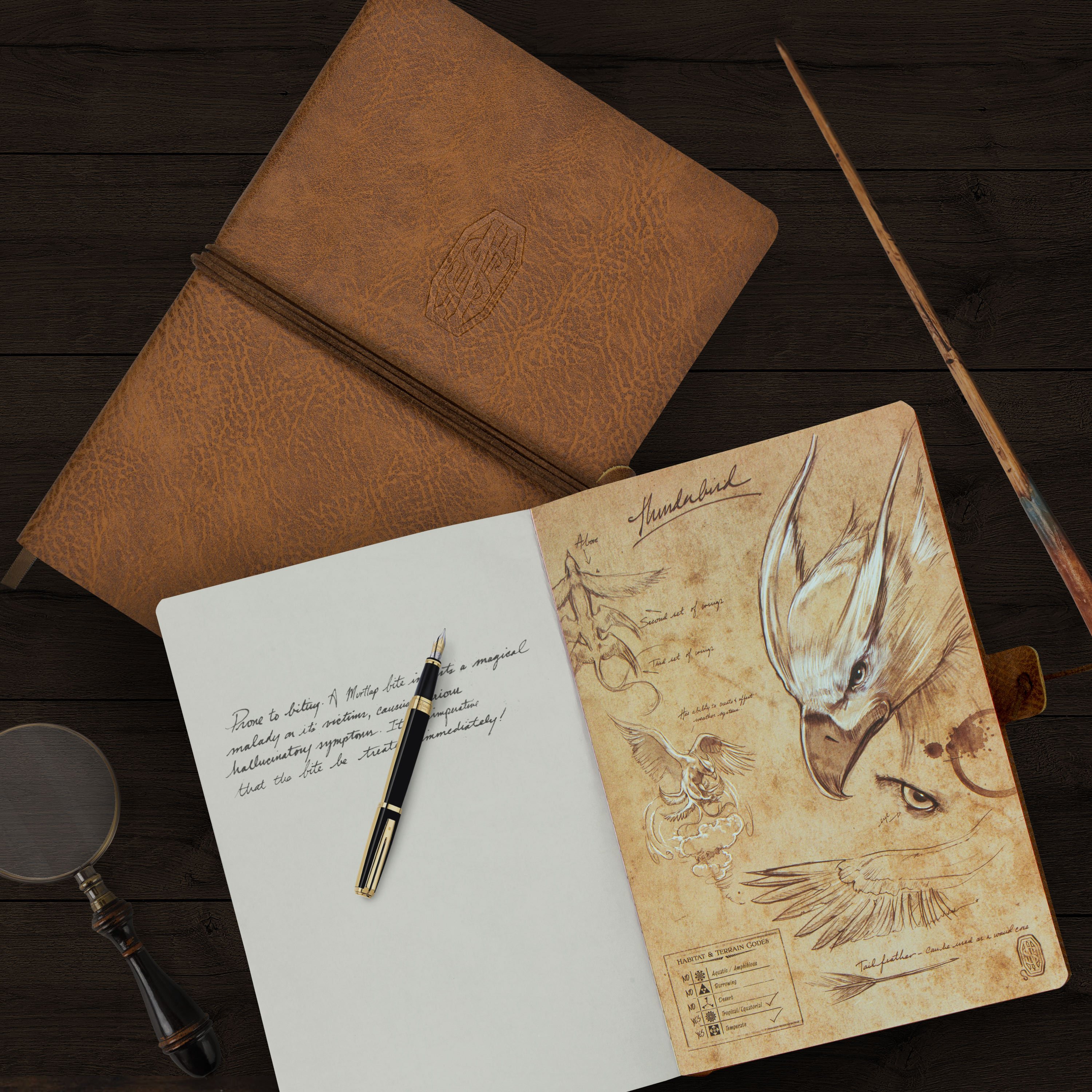 Notebook - Newt Scamander