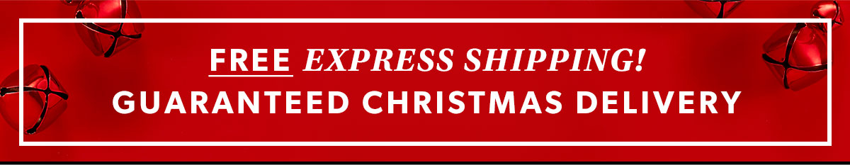 Free Express Shipping! Guaranteed Christmas Delivery