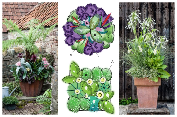 Summer garden containers and plans
