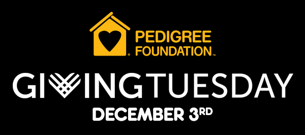 Pedigree Foundation | Giving Tuesday, December 3rd