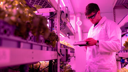scientist-checking-crops-in-laboratory-3912509