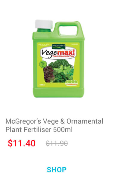 McGregor's Vege & Ornamental Plant Fertiliser 500ml