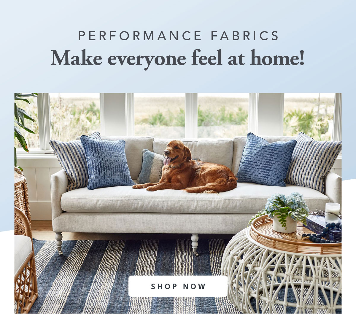 Performance Fabrics