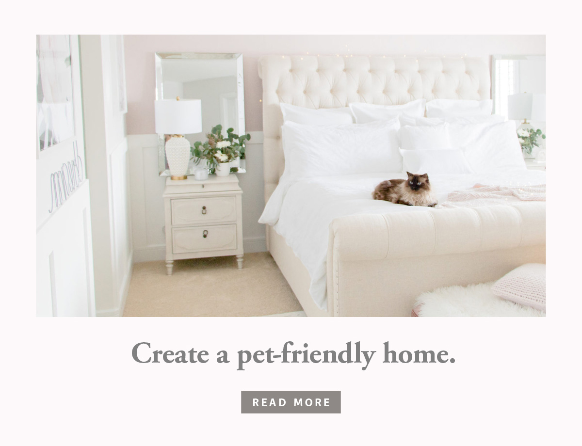 Create a pet-friendly home