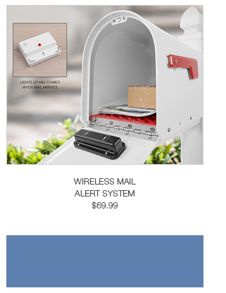 Wireless Mail Alert System